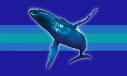 Whalehypic alt1.png