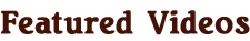 Videobanner.png