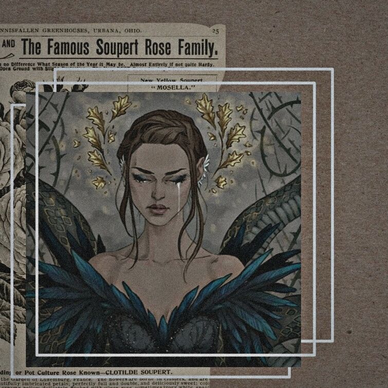 Fandom Image
