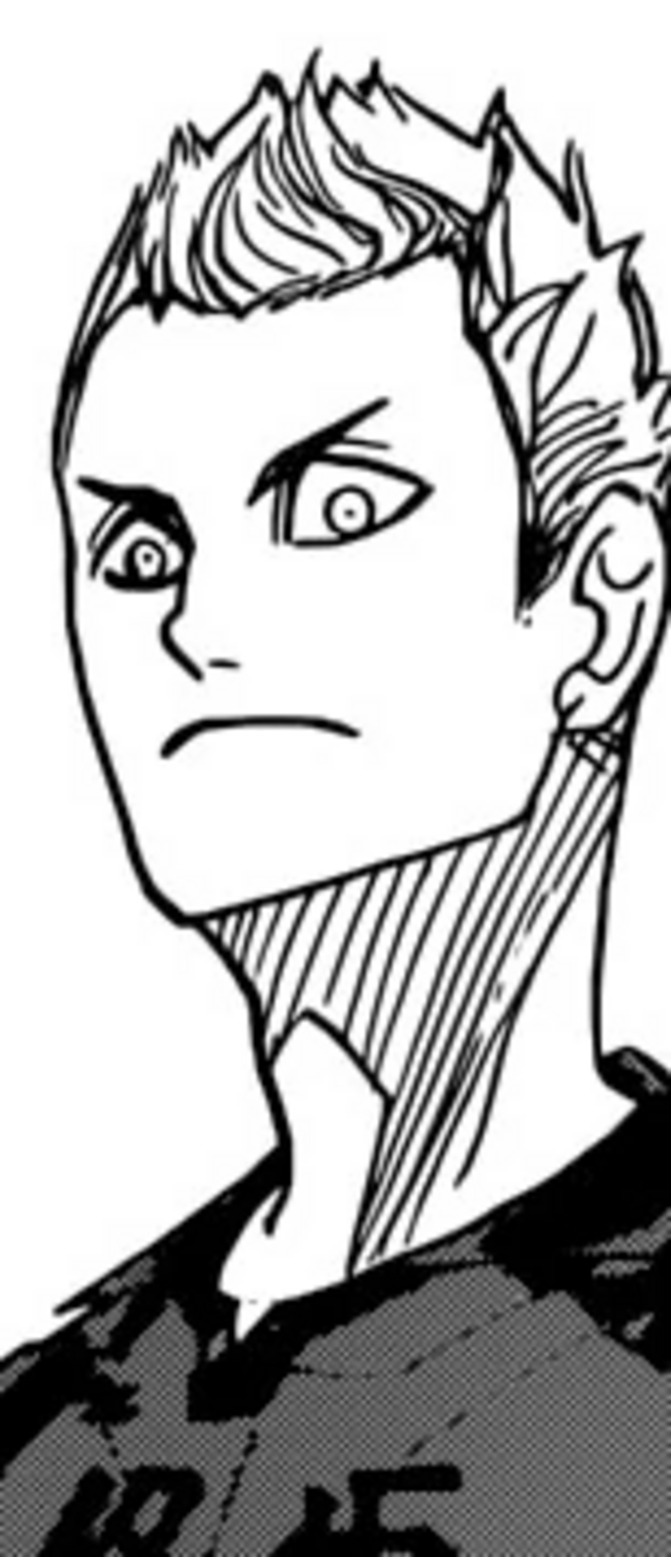 Fandom Image
