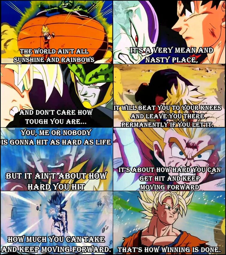 A Inspiration Dbz Meme Fandom