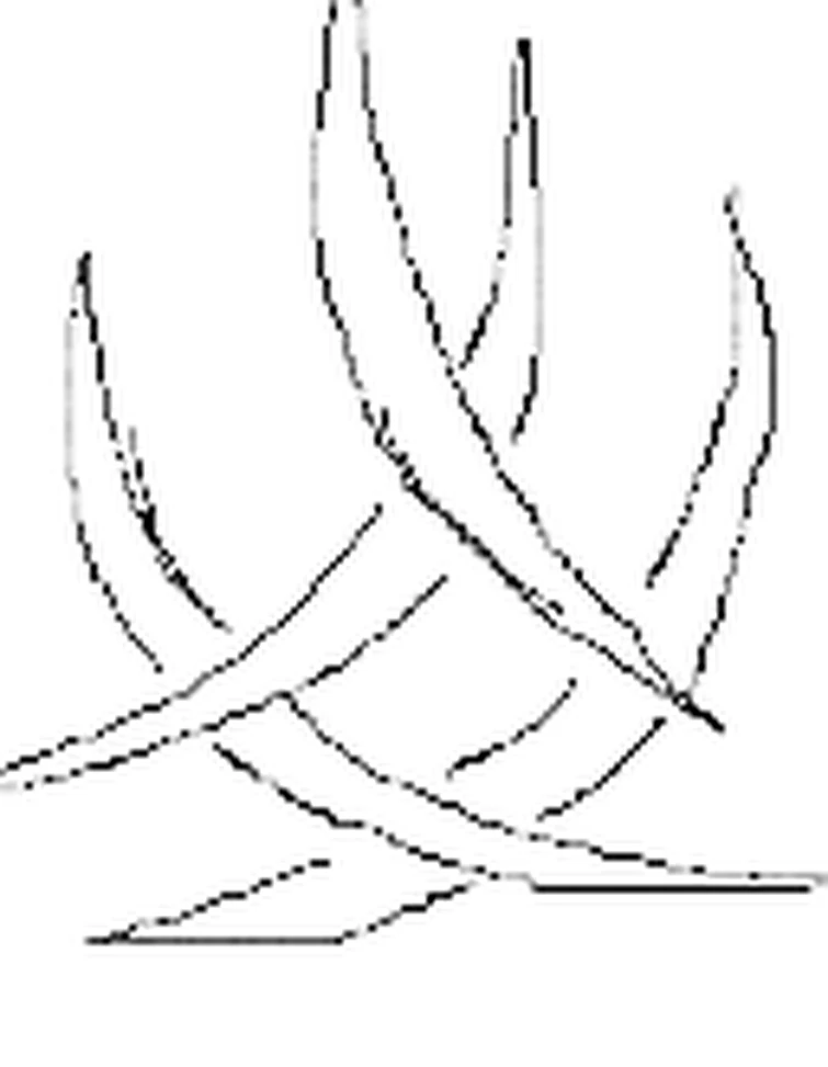 supa dice no mi concept (sharp devil fruit) Fandom