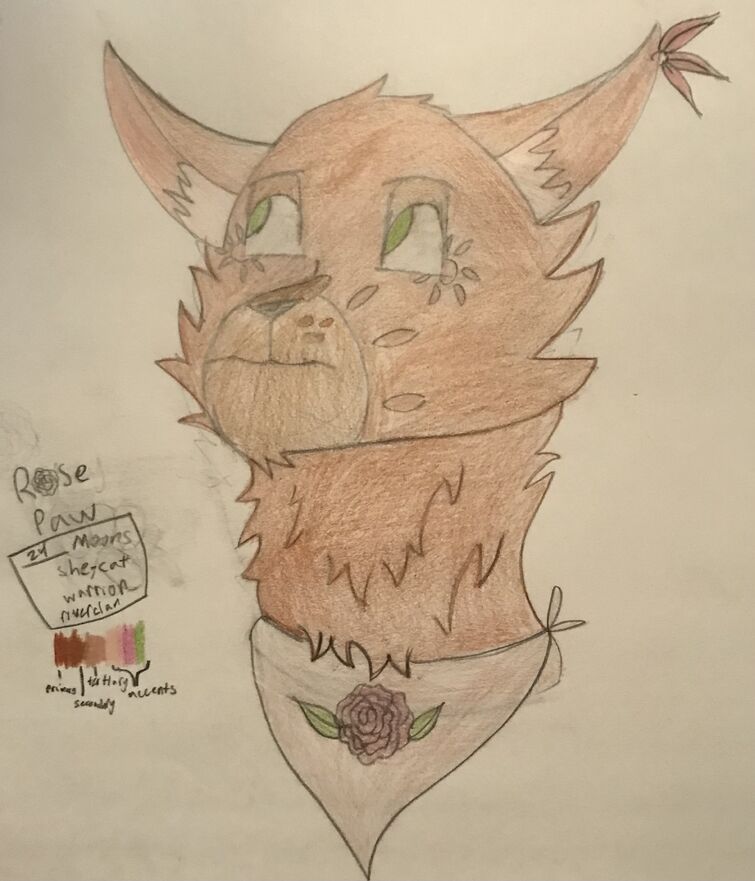 Topic · Warrior cats ·