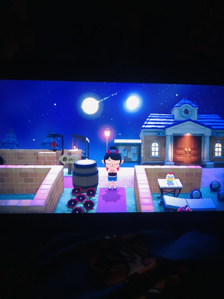 Discuss Everything About Animal Crossing Wiki Fandom