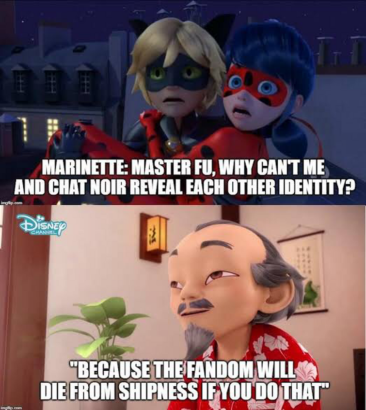 That picture of Cat Noir that literally everybody has except you. :  r/miraculousladybug