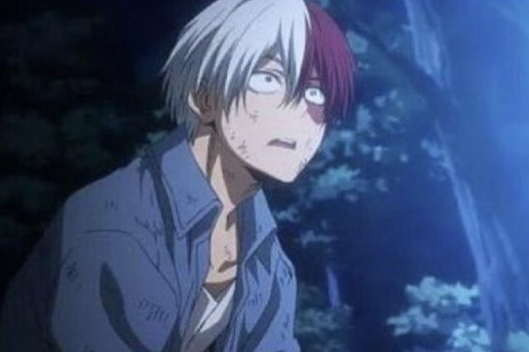 I never want to see Todoroki Shoto with this face ever again in my life ...