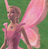 Mrabidos21's avatar