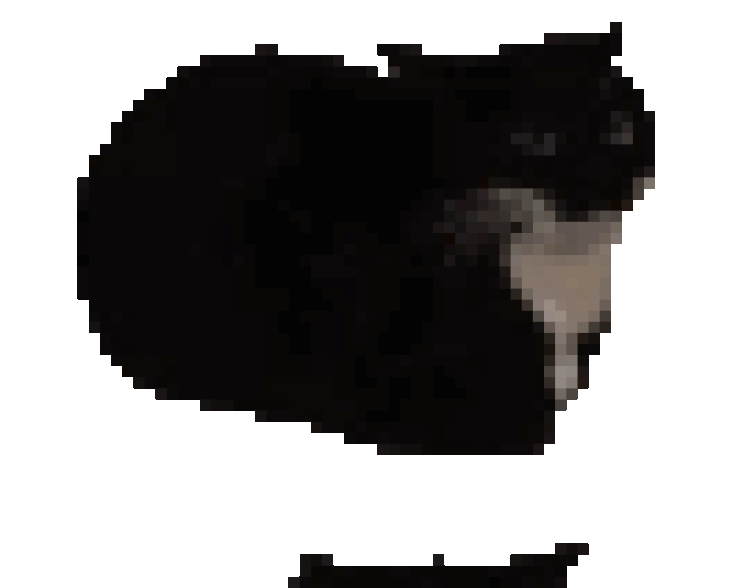 Discuss Everything About Nico's Nextbots Wiki Fandom