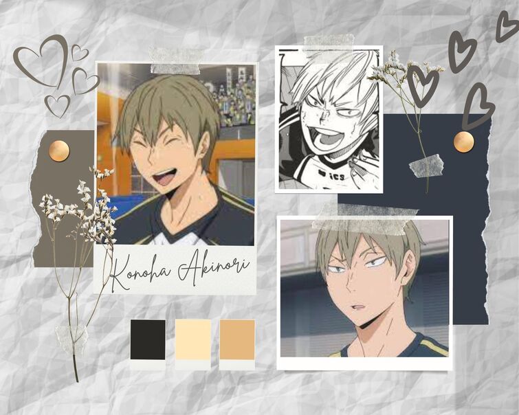 Fandom Image