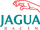 2004 Jaguar Season