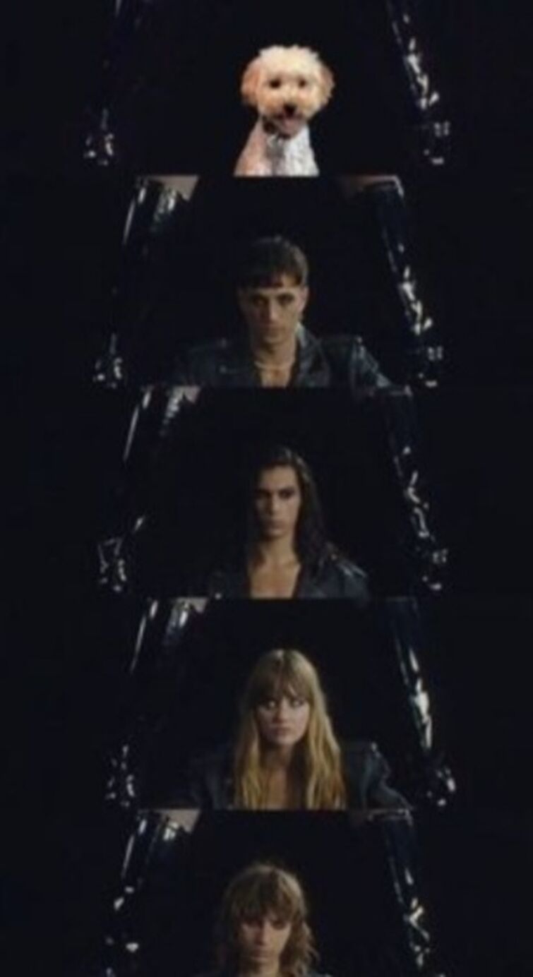 Fandom Image