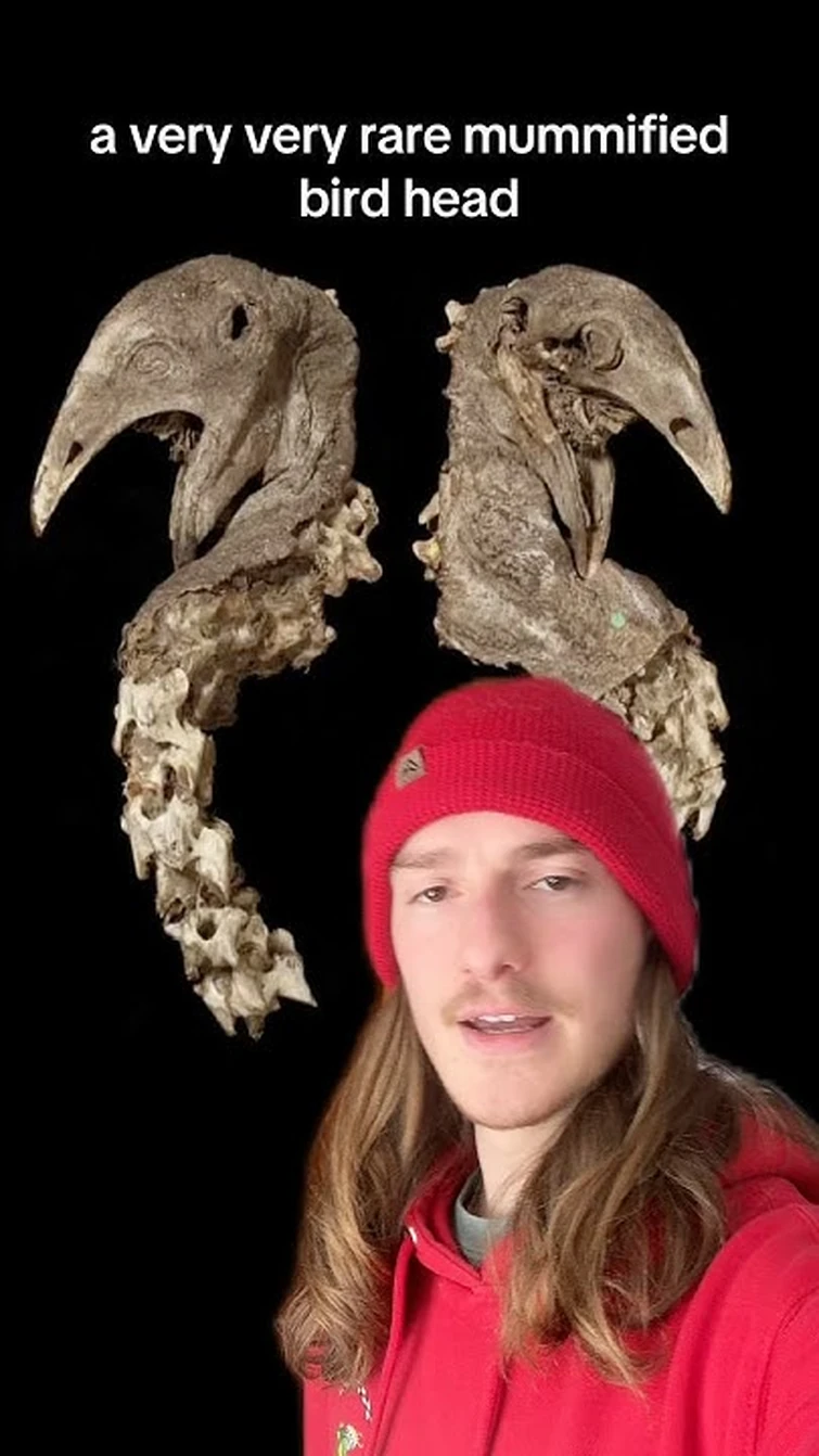 This Artifact Is Insanely Rare