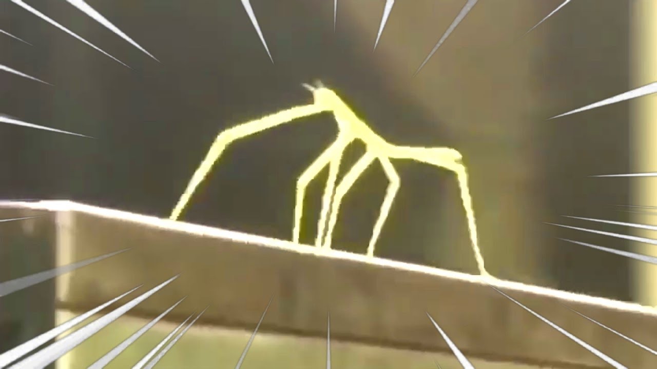 stick bug rick roll on Make a GIF