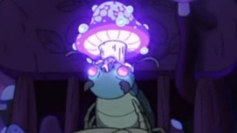 Fandom Image