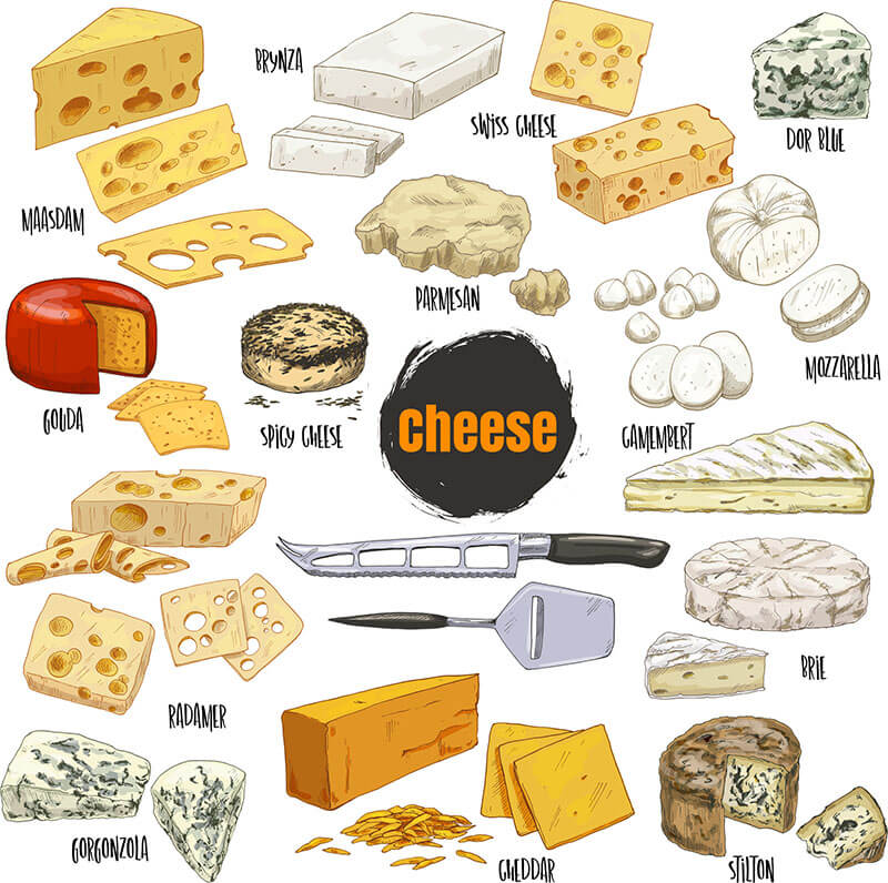 My favourite food is cheese. Виды сыров. Разновидности сыра. Сыр вектор. Виды сыра вектор.