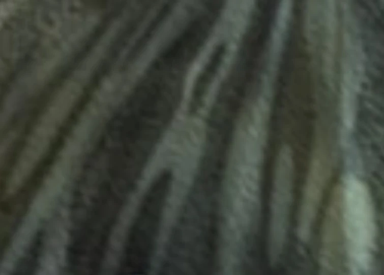 Guess the dragon from the scale pattern | Fandom