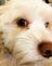 AMNK24's avatar