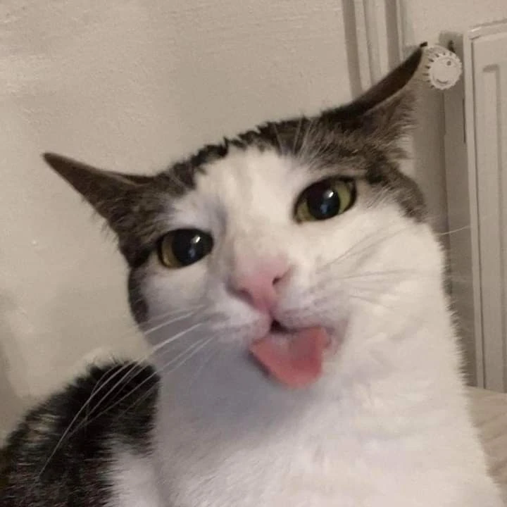i-joined-a-discord-server-and-troll-faces-aren-t-allowed-and-i-am