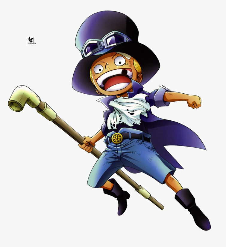 (Dragon Claw!) The Sabo One Piece Experience Fandom