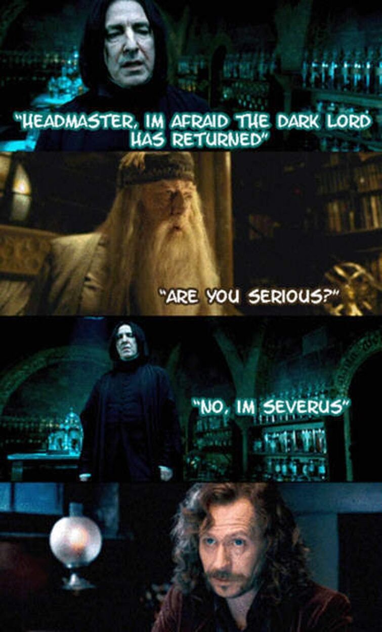 Harry Potter and the Chamber of 27 Harry Potter Memes