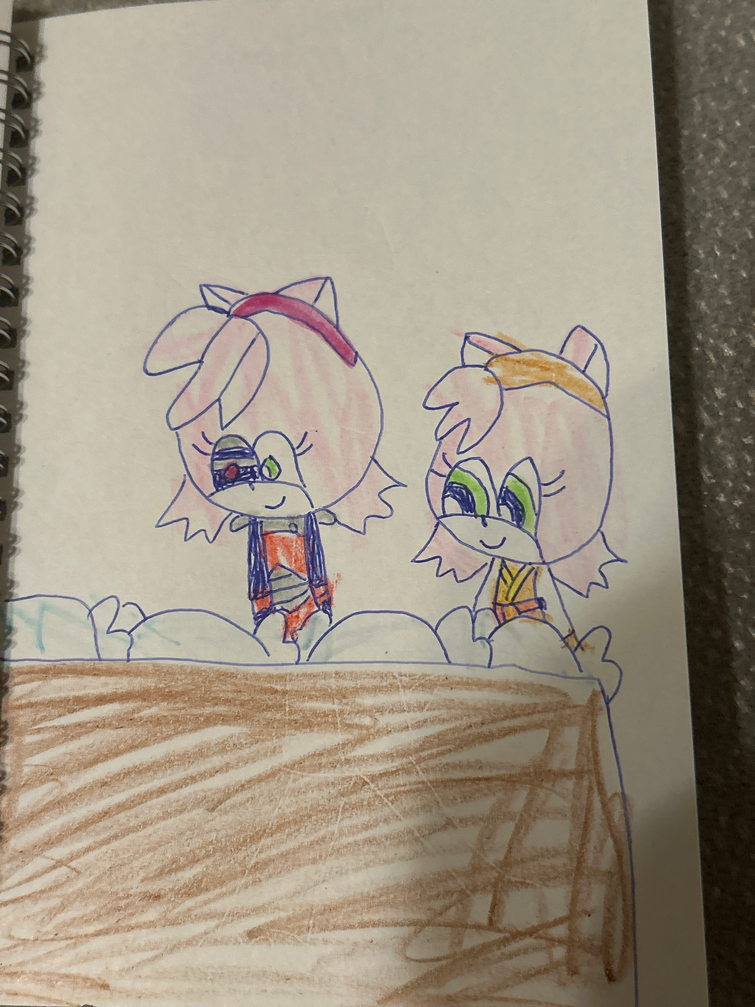 Fandom Image