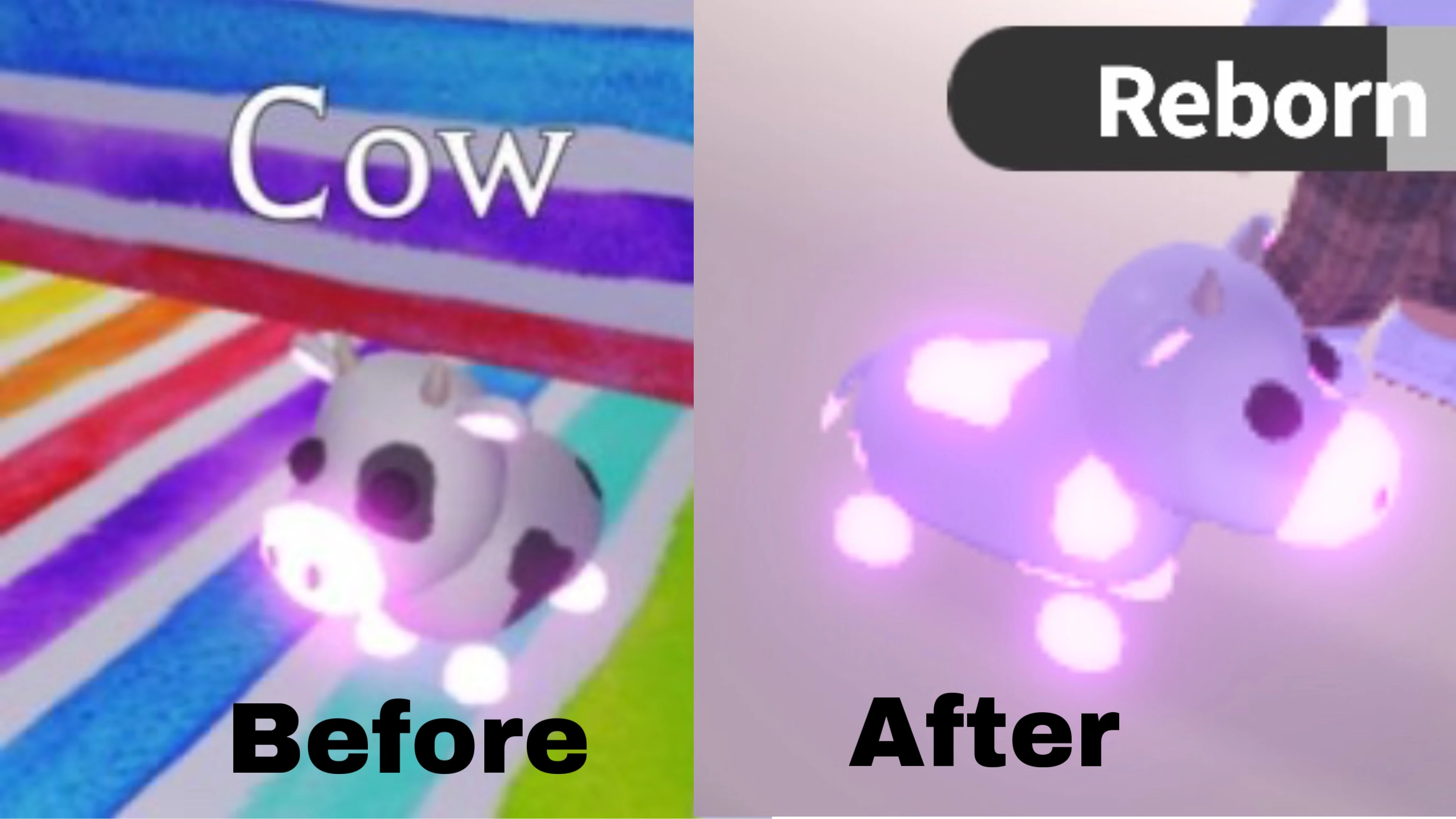 This Happened A While Ago But Did Anyone Else Notice Fandom