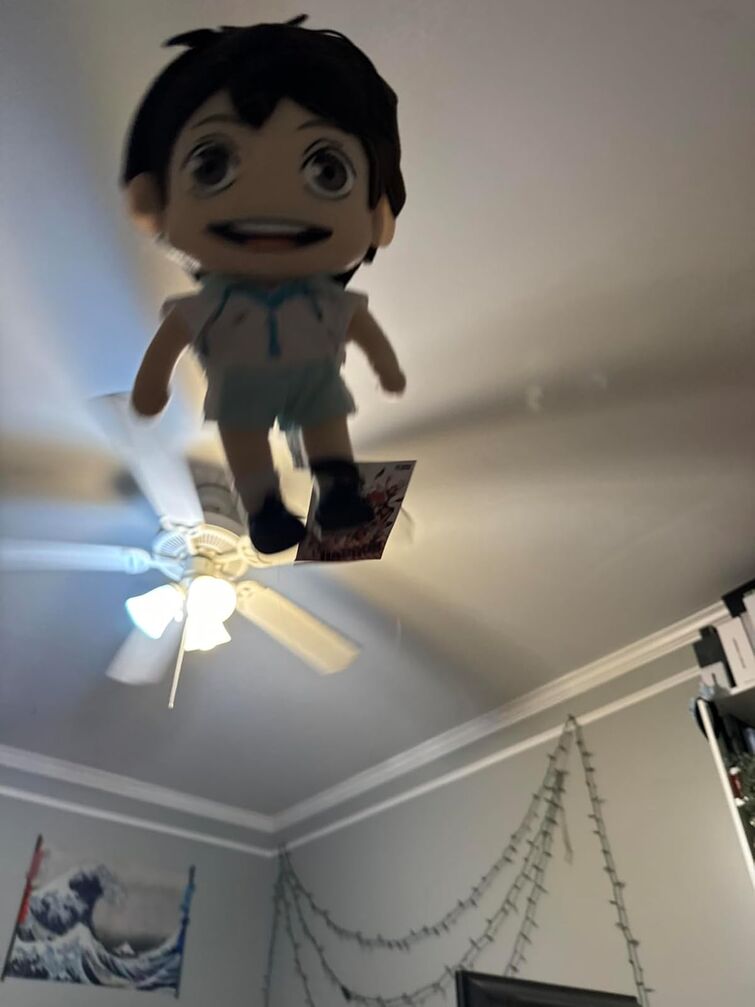 Fandom Image