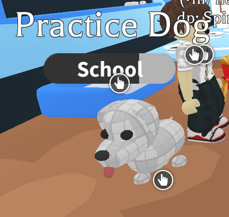 WHAT IS A PRACTICE DOG??? Fandom