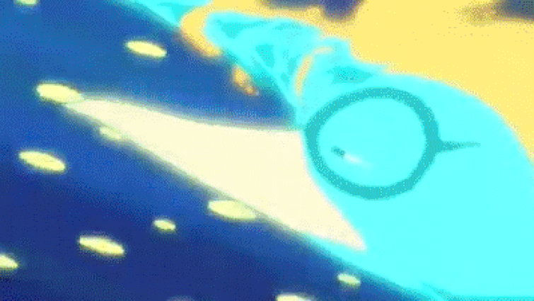 Marco Tori Tori No Mi Fandom