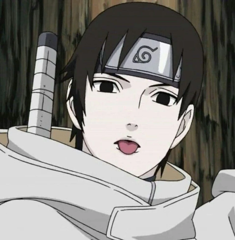 Joyeux Anniversaire Sai Fandom