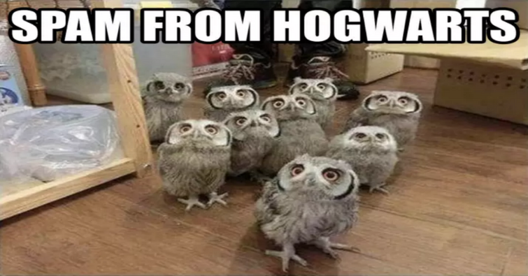 Fandom Image