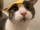 Clovest3rz