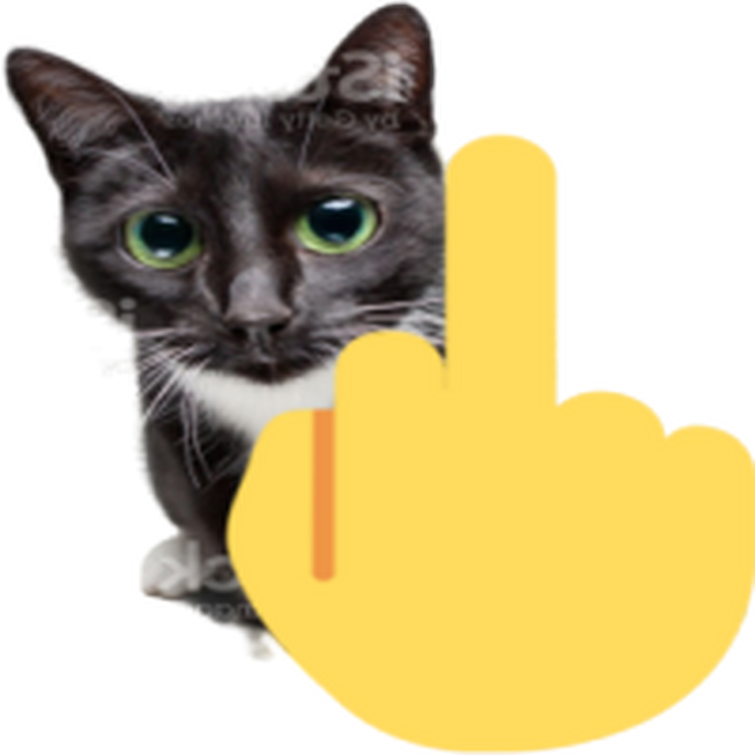 Angry Cat Kitten Meme pfp Profile Picture Funny