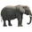 Elephanth