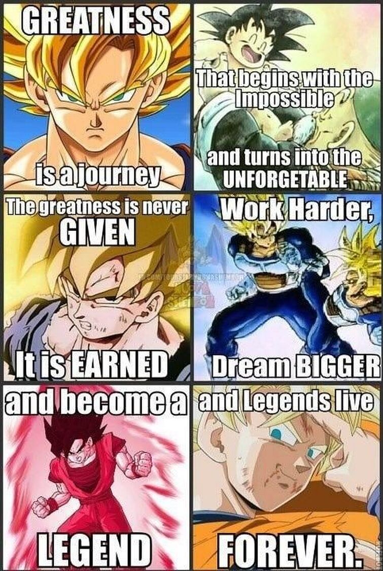 Another Dbz Quote Fandom 3249