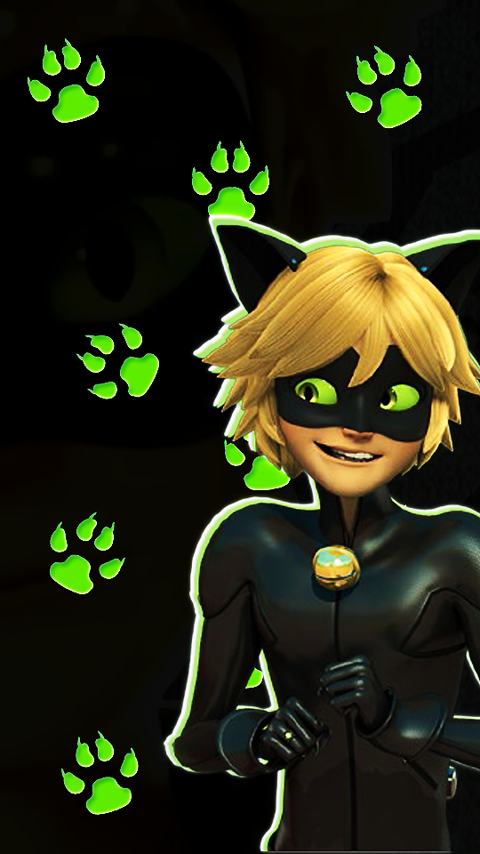 Chat Noir Fandom