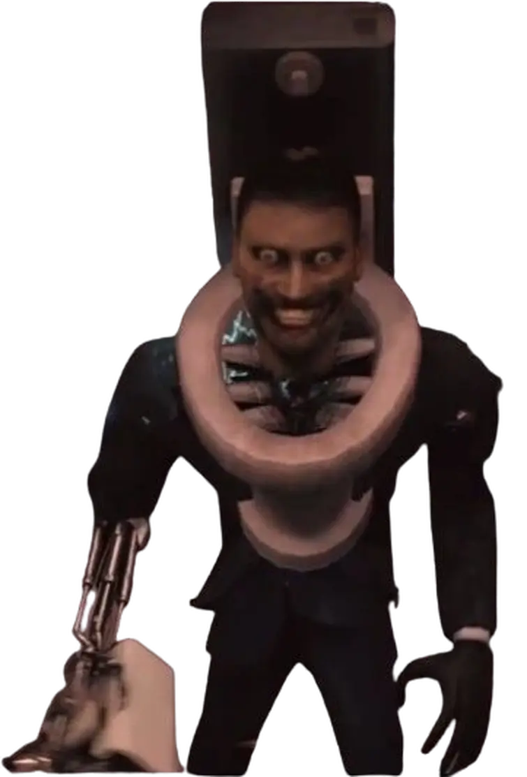 What’s the purpose of these metal things inside the toilet bowl here