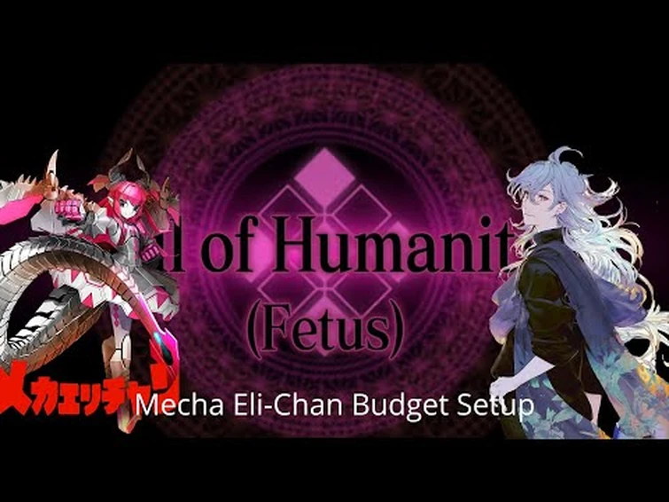 [FGO NA] Beast III/R Fully Nerfed Fight — Mecha Eli-Chan Budget Setup