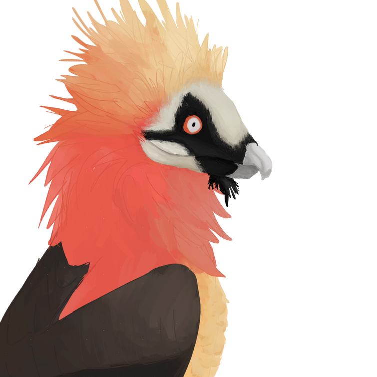 Discuss Everything About Feather Family Wiki | Fandom