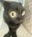 AcolouthicAntipathy's avatar