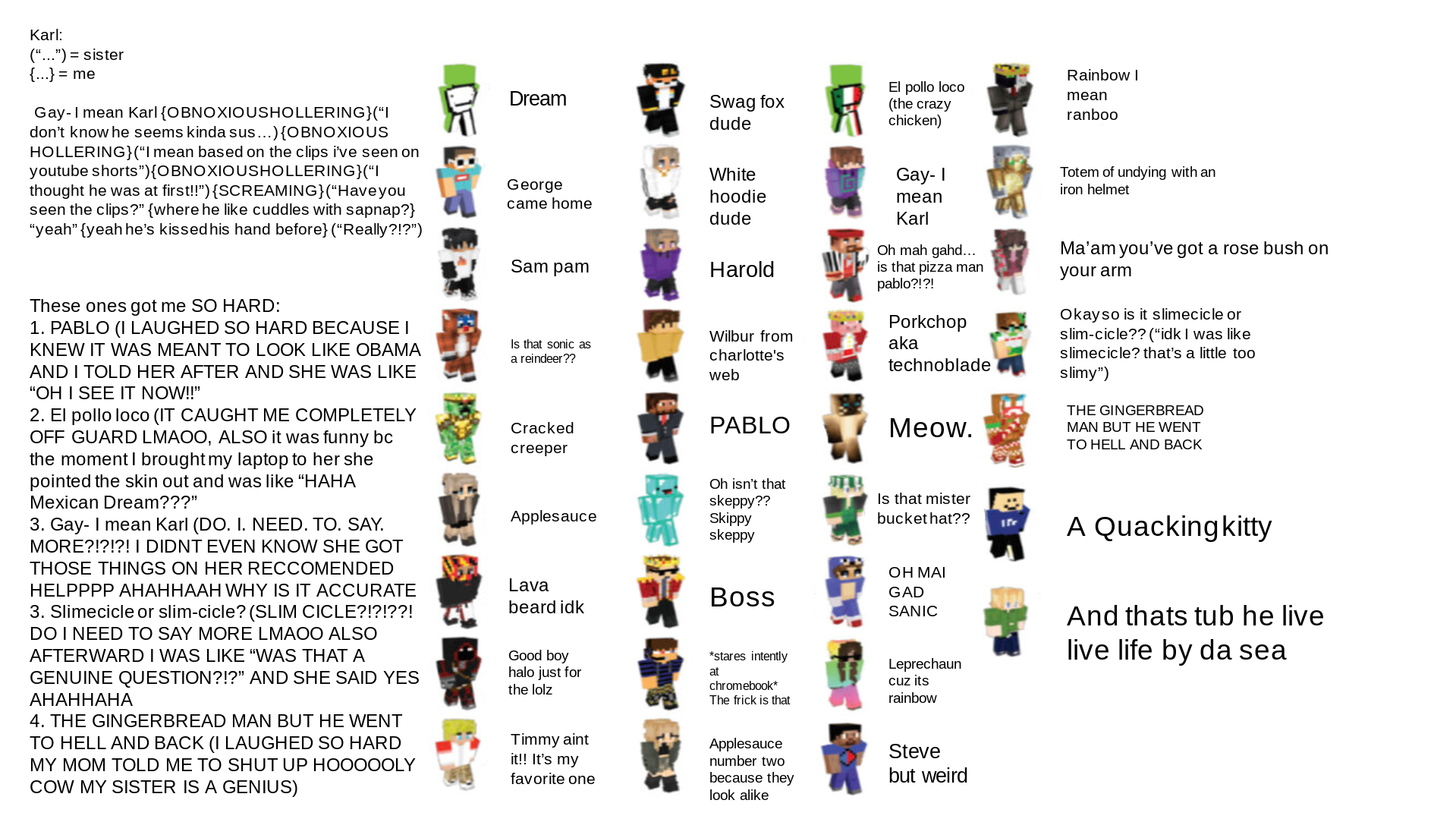 HEY SO I MADE MY SISTER GIVE MEMBERS OF THE DSMP NAMES | Fandom