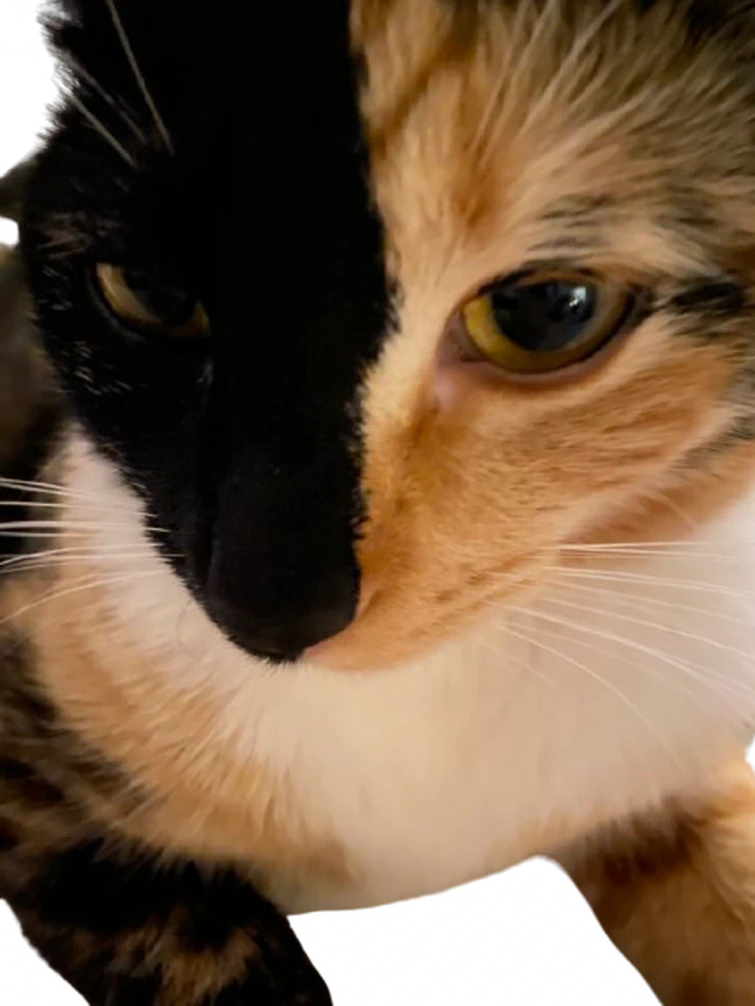 jeez.... how long have i been unconscious??? it feels so modern around