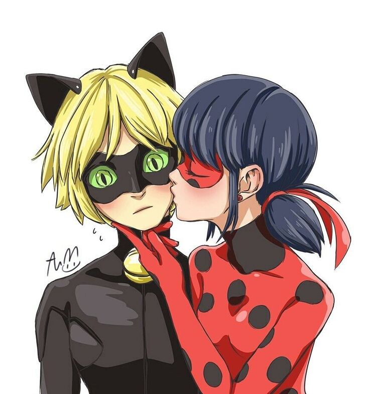 Ladybug And Cat Noir Love Together Fandom