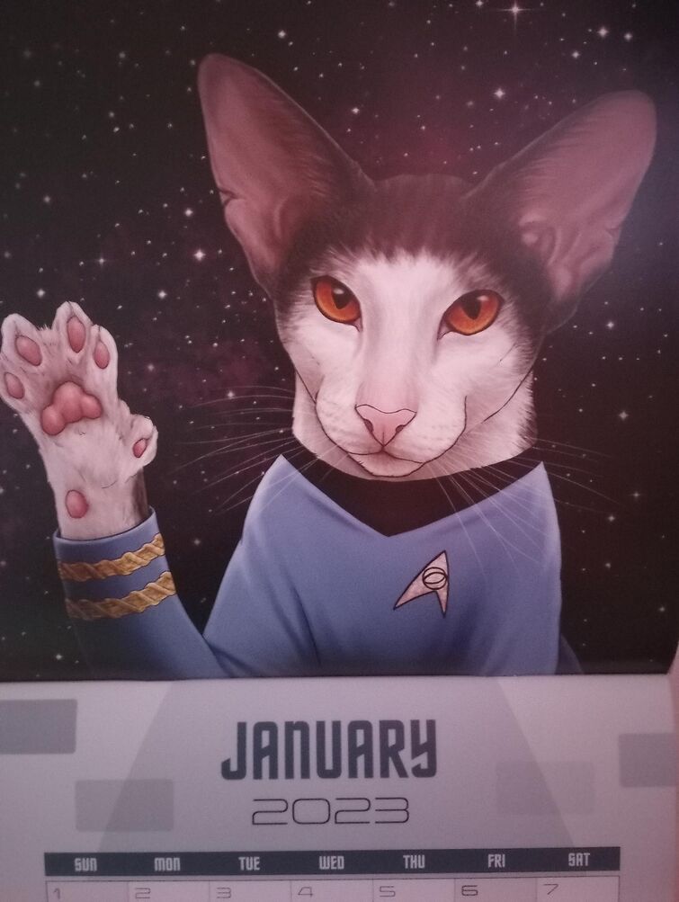 Star Trek Cats Calendar Fandom