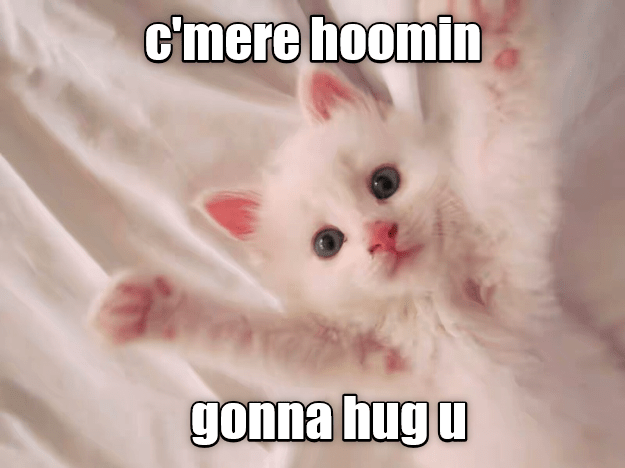 You want this Cat to give you a hug? | Fandom