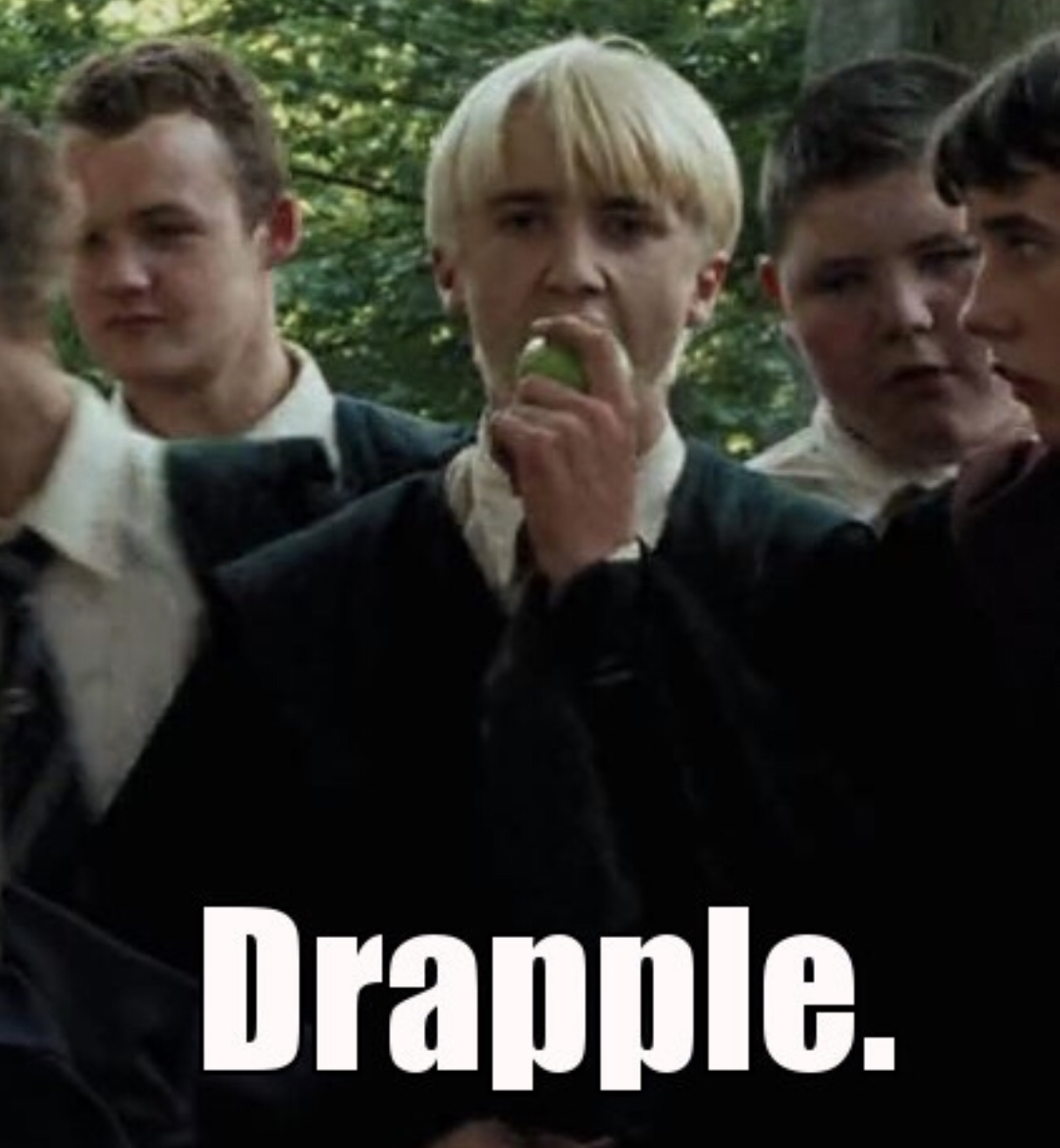 Drapple❤️  Draco harry potter, Harry potter memes, Harry potter