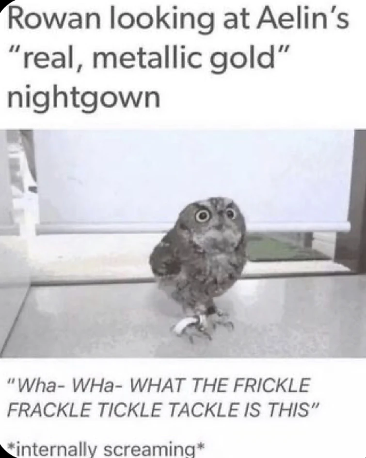 Rowan Bird Memes, As Promised | Fandom