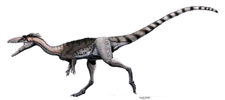 Hypsilophodon dinosaur running or jumping - 3D render Stock Photo - Alamy
