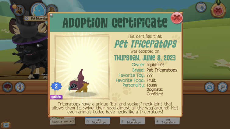 How To Get Free Legendary Pets Roblox Adopt Me Trading  Pet adoption  party, Adoption, Pet adoption certificate