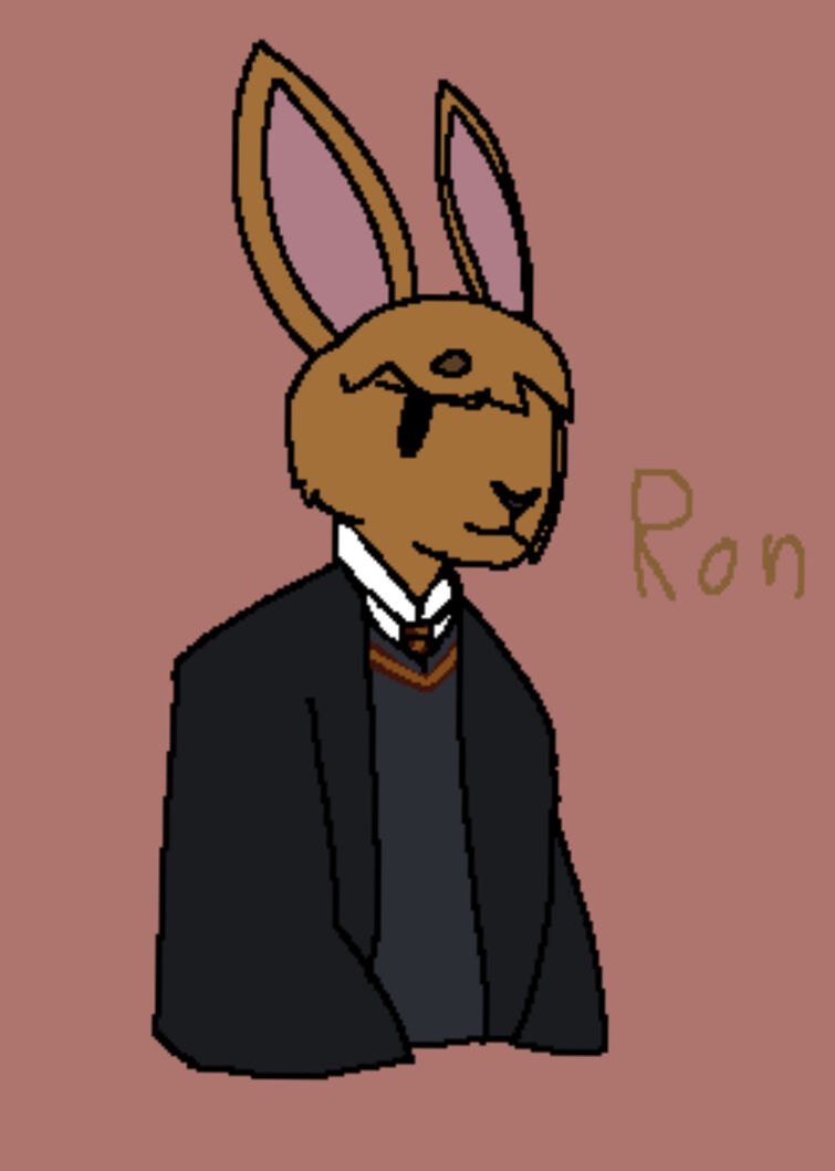 Fandom Image